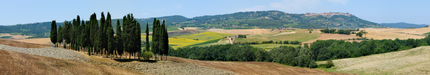 Fototapeta na wymiar Typical Tuscan view - Cypresses - Italy