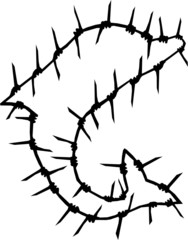 Barbed Wire Dolphin