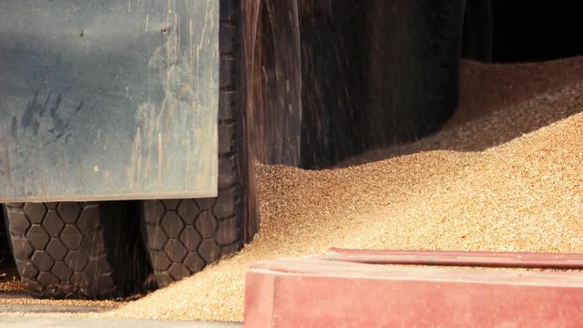 Leak of grain corns, slow motion. Truck wheels, back view, close up.