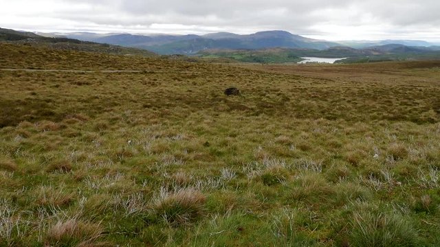 Panoramic View at Scotish Highlands near Aviemore Kingussie