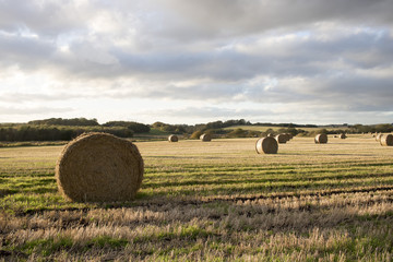 Bales of Hay in Field at Dusk