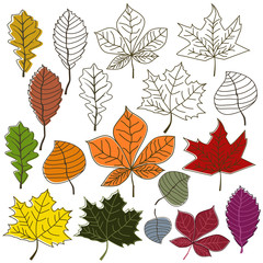 autumn leaves bush collection set