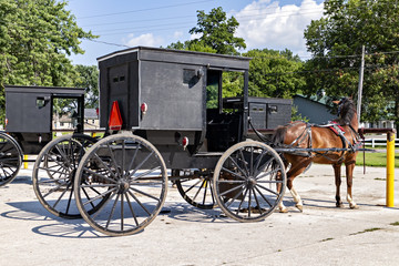 Fototapeta na wymiar Horse & Carriage