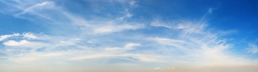 Tuinposter Sunny sky panorama © rabbit75_fot