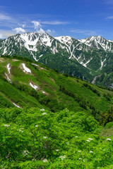 Obraz premium 爺ヶ岳から望む立山連峰とナナカマド