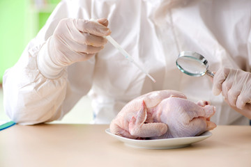 Obraz na płótnie Canvas Lab assistant testing GMO chicken