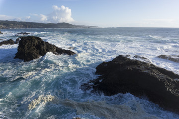 Mendocino Coastline