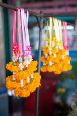calendula flower , yellow flower steering or garland hanging at market for worship and prayer with buddha in thai religion traditional  .
