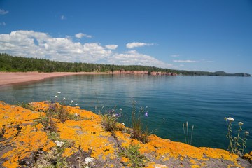 Orange lichens near the shore of Lake Superio