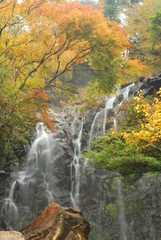 Fototapeta na wymiar 箱根の名瀑・紅葉の竜神の滝