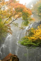 霞む紅葉の竜神の滝