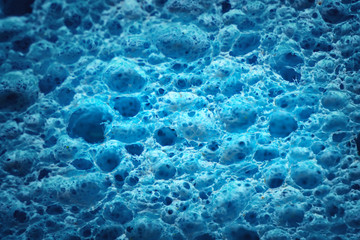 Macro of biological texture. Element of design. Cell blue background.