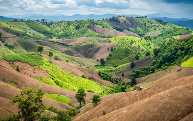 Dry mountain range remain less area of green tree inside Ampur Bo Kluea at Nan province of Thailand. Forest destoyed by agriculture of shifting cultivation. - obrazy, fototapety, plakaty