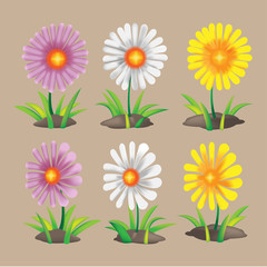 Summer Spring Flower Collection Set Vector