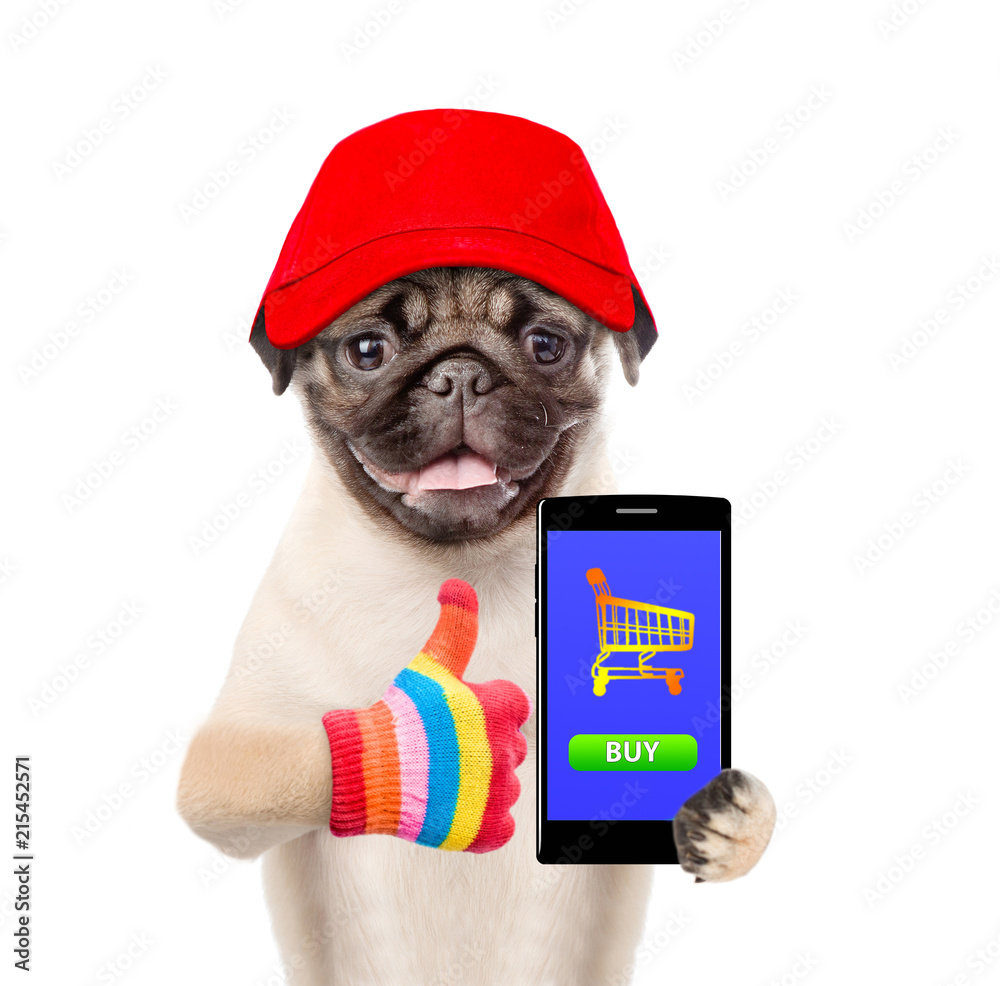 Poster puppy in red cap with smartphone showing thumbs up. concept online shopping. isolated on white backg