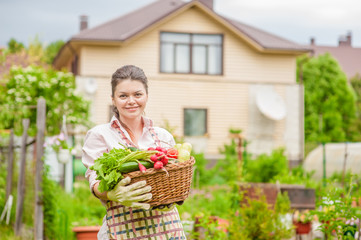 Woman with fresh vegetables in the basket in her hands. Space for text