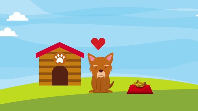 little dog mascot love wooden house and food animation hd
