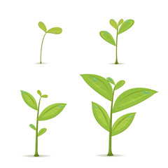 Fototapeta na wymiar Plant Green Leaf Grow Set Vector