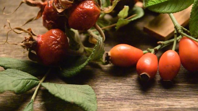 Silvana Comugnero Cinorrodo plod Rose hip Плоды шиповника Video &Scaron;ipak  蔷薇果 Escaramujo Rosa canina Movie Tapaculo وردة المسك Hagebutte 로즈힙 Cynorhodon میوه گل رز Cinorrodi