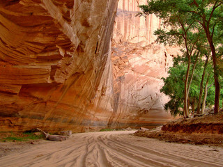 Red Rock Walls of Canyon de Chelly