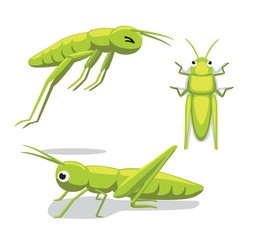 Cute Grasshopper Poses Cartoon Vector Illustration