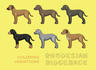 Dog Rhodesian Ridgeback Coloring Variations Vector Illustration