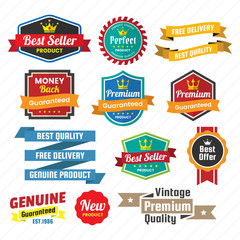 Vintage Retro Vector Logo for banner