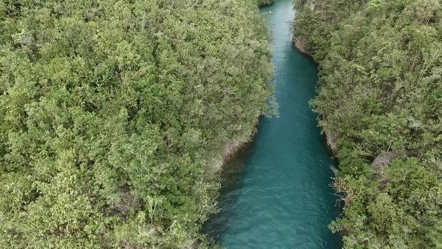 This is an aerial shot of the mouth of Bojo RIver found in Aloguinsan, Cebu Philippines.
