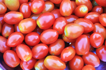 Red small tomatoes on the summer.