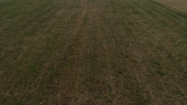 Flying In The Air Over Grass Fields In The English Countryside With The Sunlight Filtering Through The Clouds. East Devon, England