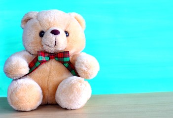Teddy bear on the green background.