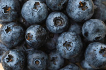 blueberry background.Fresh organic blueberry.