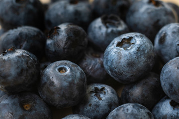 blueberry background.Fresh organic blueberry.