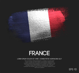 France Flag Made of Glitter Sparkle Brush Paint Vector