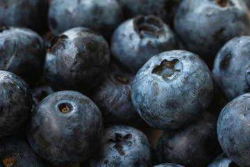 blueberry background.Fresh organic blueberry.