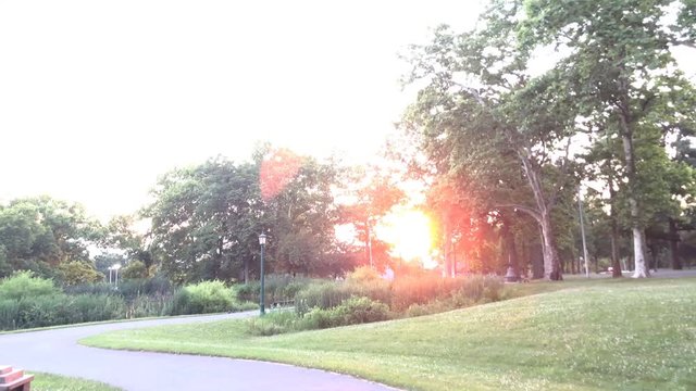 A shot of the sunset at city park in Reading, PA.