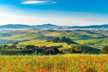 Beautiful landscape of hilly Tuscany in summer sunny morning