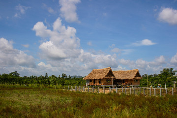 Thai Architecture and Resort in Southern Thailand