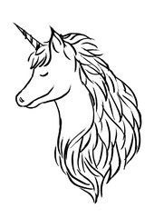 unicorn hand drawing sketck doodle fantasy illustration design