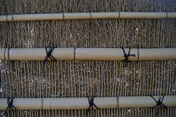 Bamboo fence-15