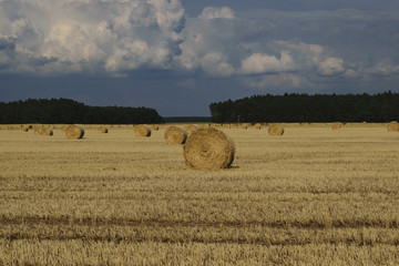 Strohballen