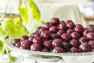 Cooking cherry jam.A washed dark red ñherries in a colander on a background of green leaves. Site about fruits, berries, food, cuisine and cooking.