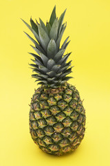 tropical summer fruit, pineapple on yellow background