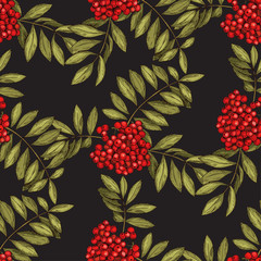 Vector seamless pattern with leaves and fruits of mountain ash on a black background. Colors of autumn nature for your design.