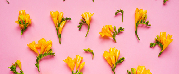 Fototapeta na wymiar banner for website, colorful bright yellow flowers on a pink background