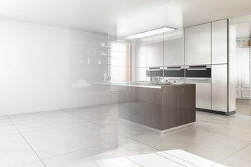 Contemporary Designed Kitchen (Design)