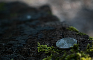 Romanian Coin