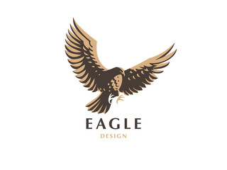The flying eagle. 