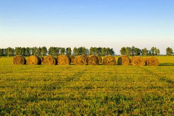 field with hay stacks