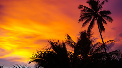 Fototapeta na wymiar Romantic sunset in Thailand, Koh Chang, 
